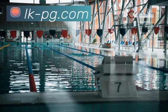 pg电子平台生态图